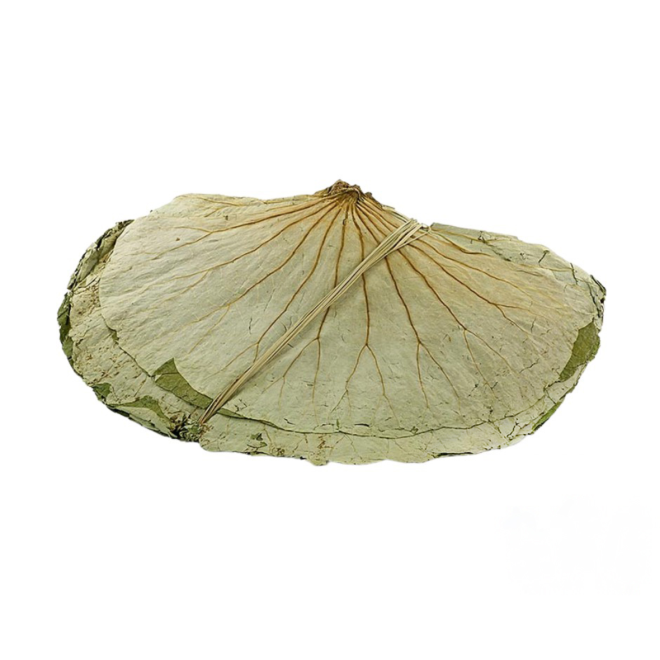 金百合 荷叶 454g | GL Lotus leaves 454g