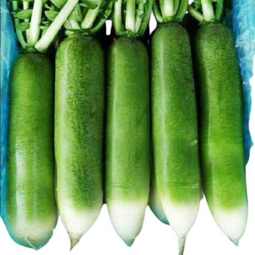 Tuore Vihreä Retiisi 1kg