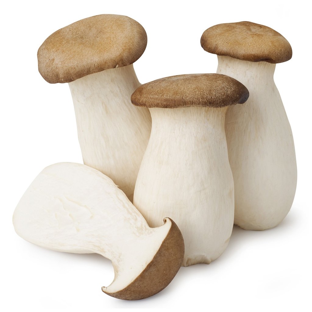 新鲜 杏鲍菇 1kg | Fresh King Oyster Mushroom 1kg