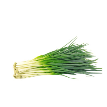 Fresh Spring Onion (Scallion) 1kpl | 新鲜 香葱 1把