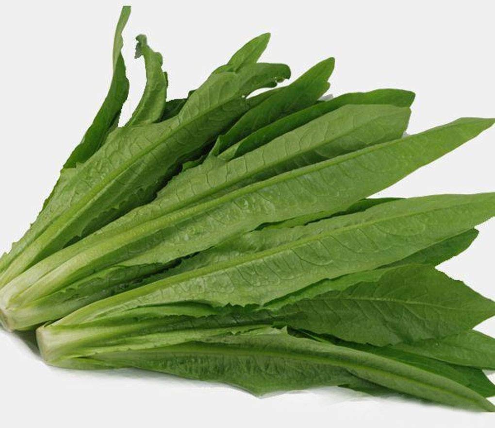 新鲜 油麦菜 1kg | Fresh Makchoi 1kg
