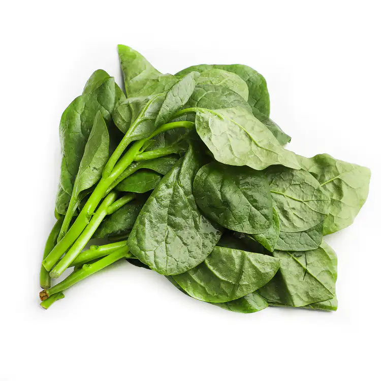 Fresh Sanchoi 1kg | 新鲜 木耳菜 1kg