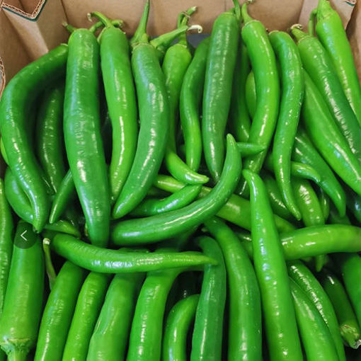 Fresh Shishito Green Chili 1kg | 新鲜 青尖椒 1kg