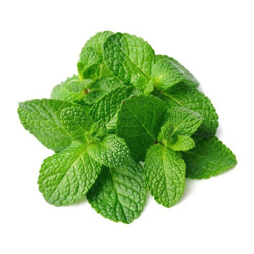 新鲜 薄荷叶 1把 | Fresh Mint 1kpl