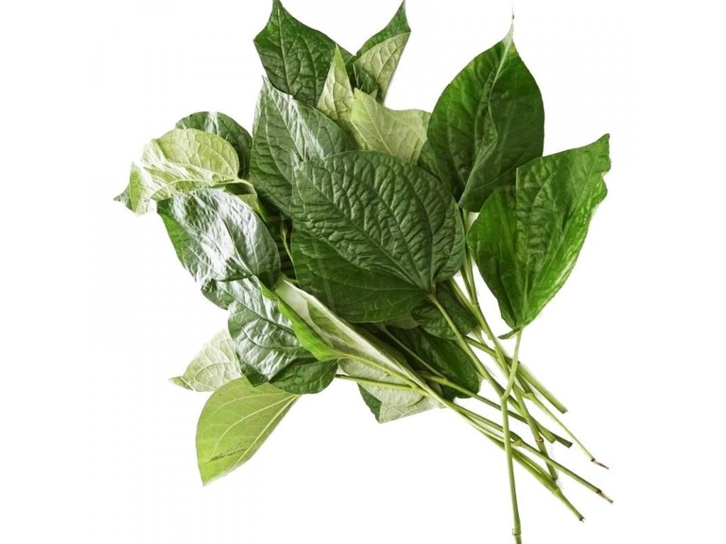 Fresh Thailand Wild Betel Leaf 100g/PKT | 新鲜 泰国 山蒌叶 100g/包