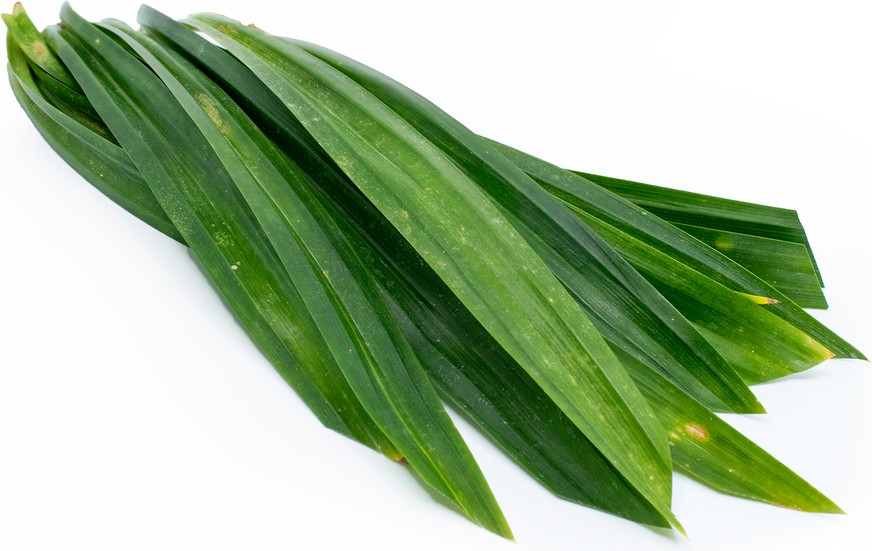 新鲜 泰国 斑斓叶 100g/包 | Fresh Thailand Pandan Leaf 100g/PKT