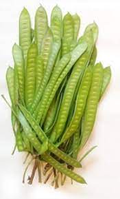 Fresh Thailand Young Horse Tamarind 100g/PKT | 新鲜 泰国 嫩马罗望子 100g/包