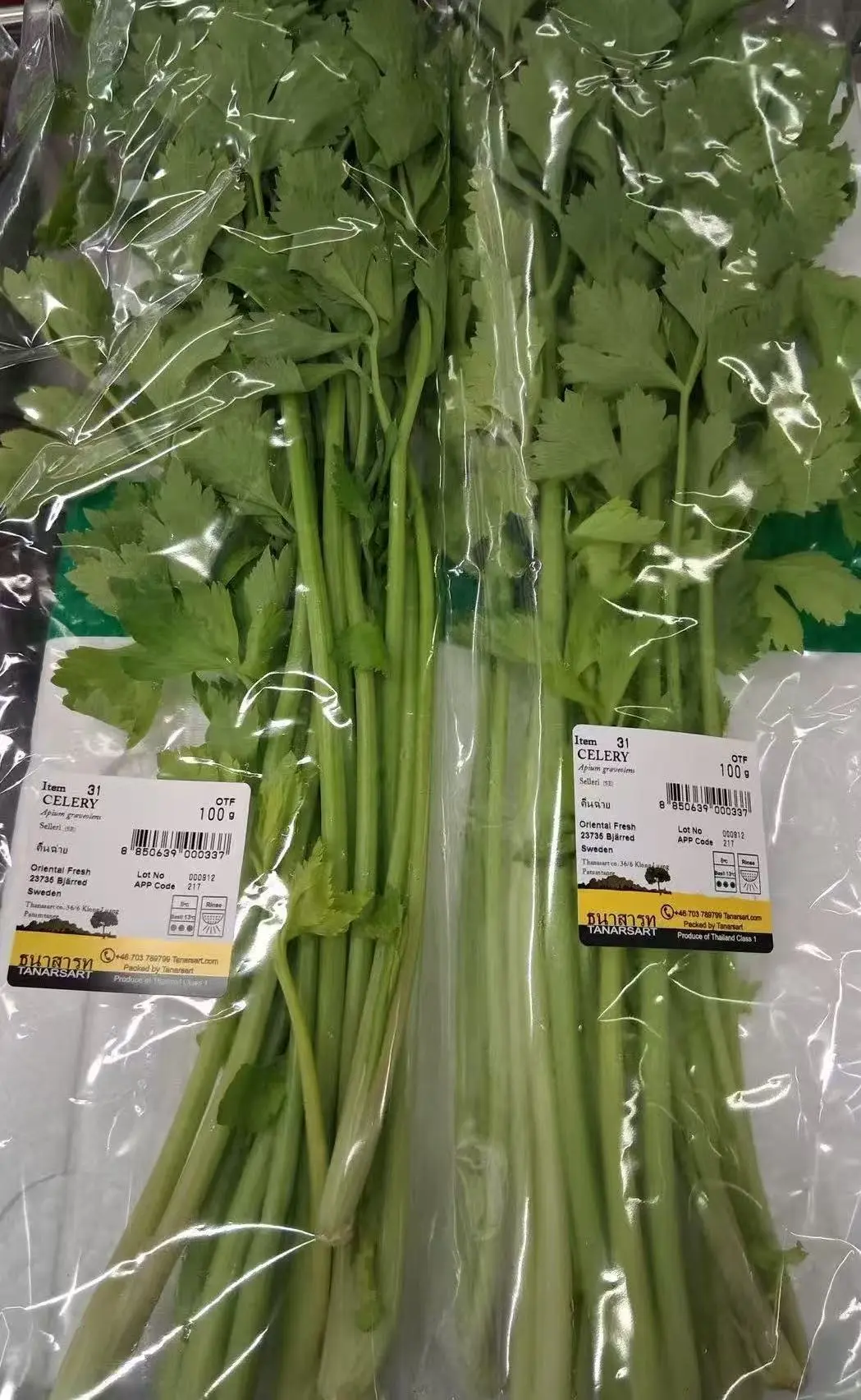 Fresh Thailand Celery 100g/PKT | 新鲜 泰国 芹菜 100g/包