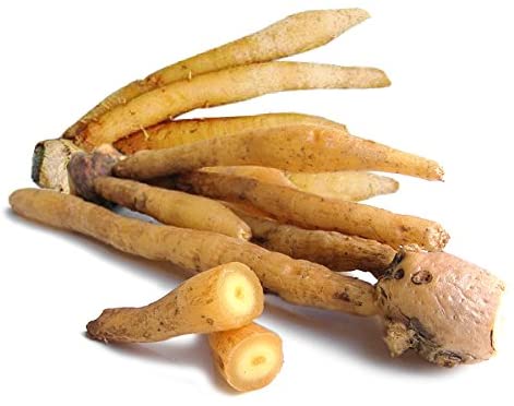 新鲜 泰国 凹唇姜 100g/包 | Fresh Thailand Kaempfer 100g/PKT