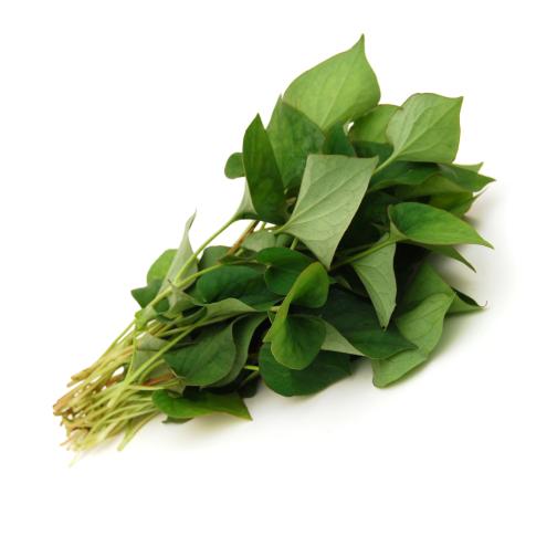 Fresh Thailand Fish Mint/Plu Kaow 100g/PKT | 新鲜 泰国 鱼腥草 100g/包