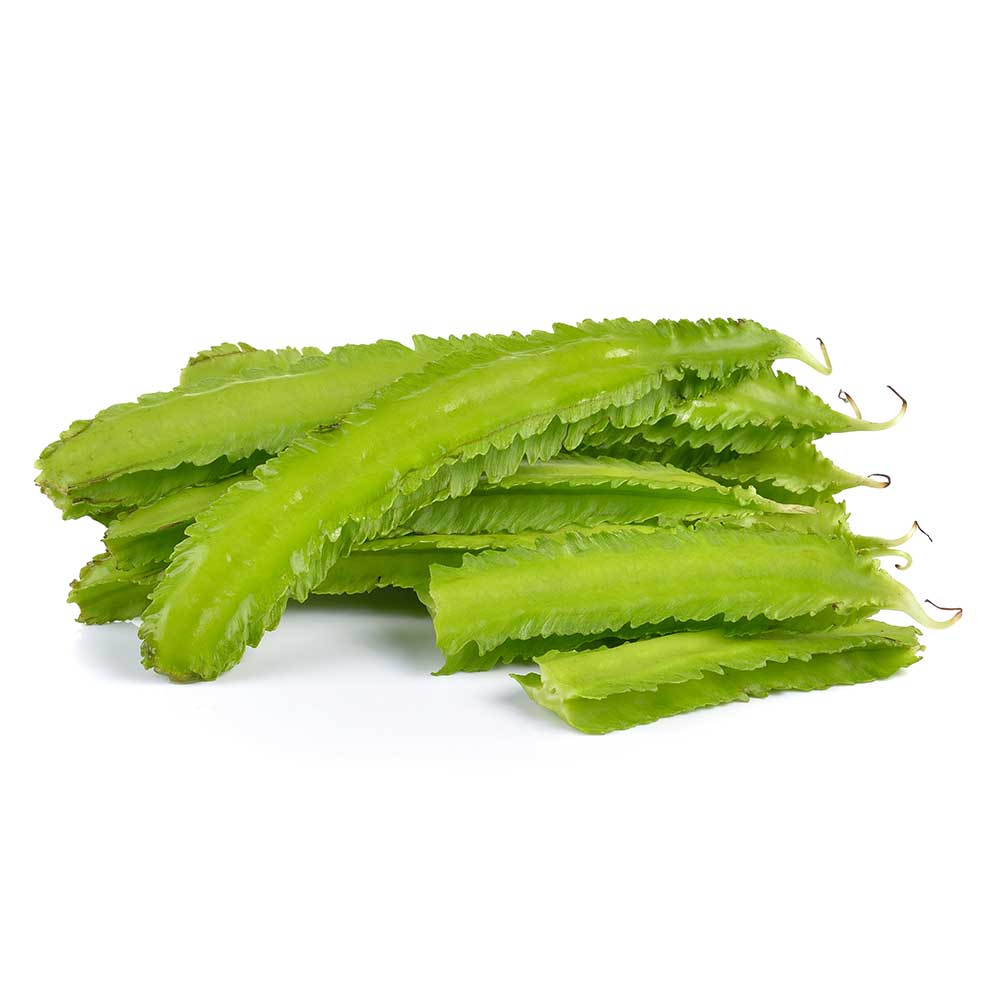 Fresh Thailand Winged Bean 100g/PKT | 新鲜 泰国 翅豆 100g/PKT
