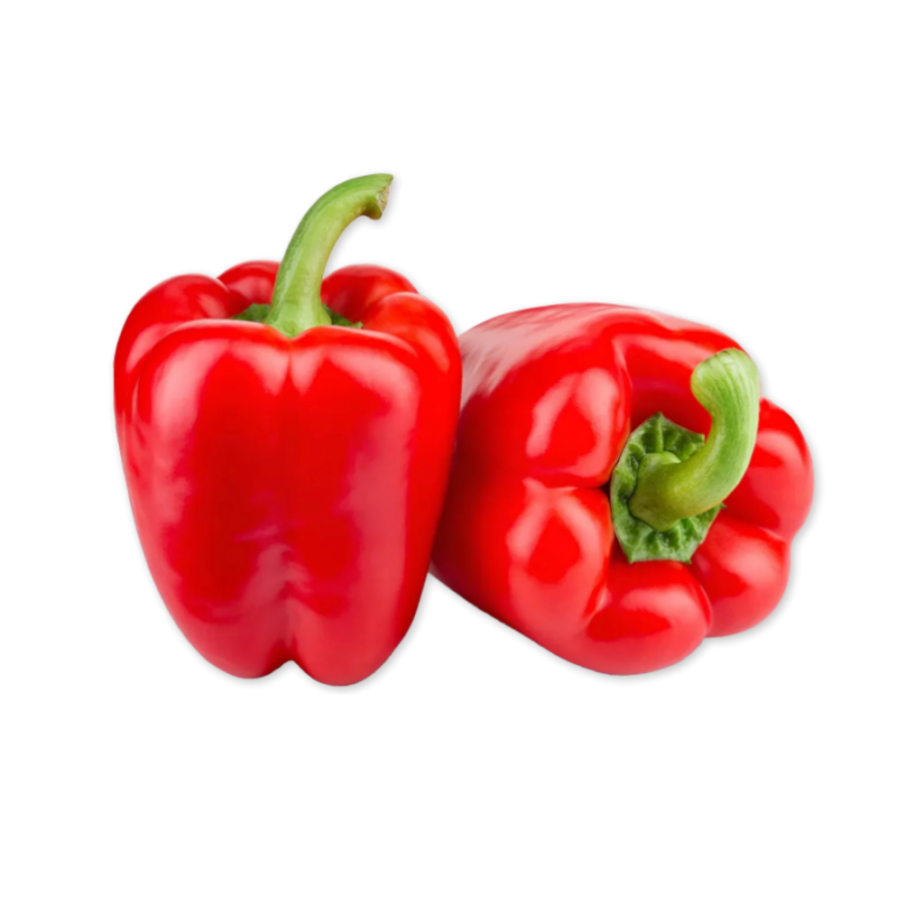 新鲜 红椒(灯笼椒) 整箱 5kg | Fresh Red Capsicum 5kg/CTN