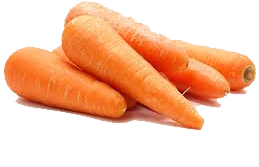 Tuore Porkkana 10kg/LTK