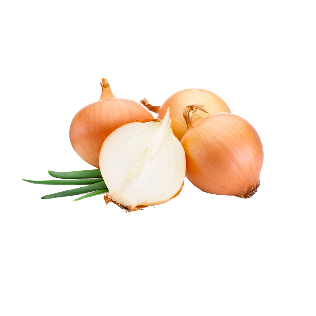 Fresh Yellow Onion 10kg/Bag | 新鲜 白洋葱 整包 10kg
