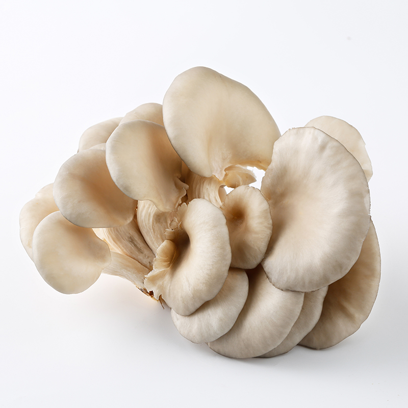 新鲜 盒装 平菇 200g/盒 | Fresh Oyster Mushroom 200g/PKT