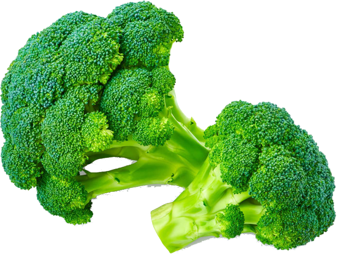 新鲜 西兰花 整箱 8kg | Fresh Broccoli 8kg/CTN