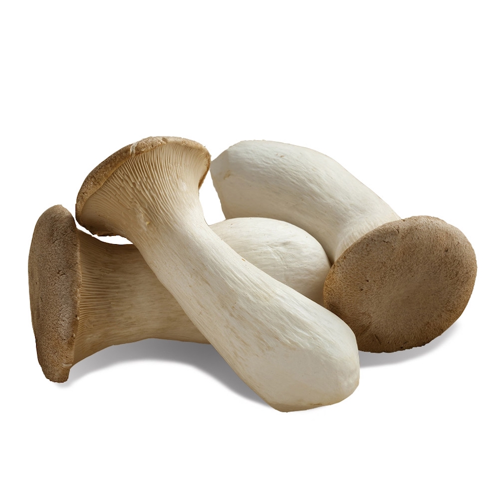 新鲜 盒装 迷你杏鲍菇 200g | Fresh Mini King Oyster Mushroom 200g