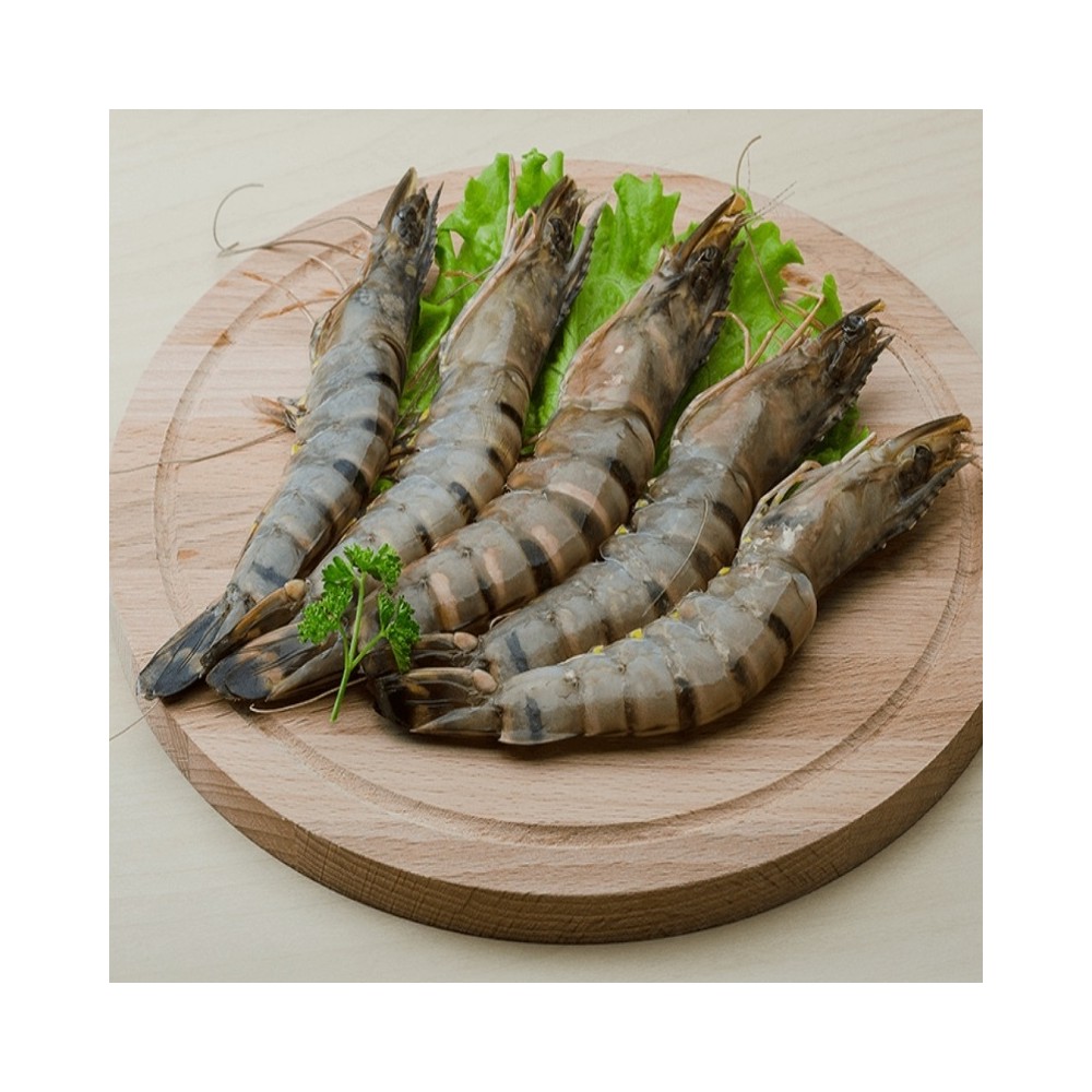 Fisherman's Choice Black Tiger Shrimps HOSO 8/12 1kg net800g | 黑虎大虾 有头有壳 8/12 1kg net800g
