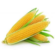 Fresh Finland Sweet Corn 1kg | 新鲜 芬兰 甜玉米 1kg