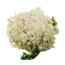 Fresh Chinese Cauliflower Kool 1kg | 新鲜 散菜花 1kg