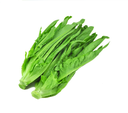 Fresh Amchoi 1kg | 新鲜 长芥菜 1kg