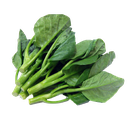 Fresh Kailaan 1kg | 新鲜 芥兰 1kg
