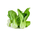 Fresh Mini Shanghai Pakchoi 1kg | 新鲜 迷你上海青 1kg