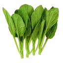 Fresh Choisam 1kg | 新鲜 菜心 1kg