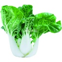 Fresh Mini Pakchoi 1kg | 新鲜 小白菜 1kg