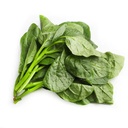 Fresh Sanchoi 1kg | 新鲜 木耳菜 1kg