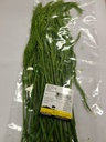 Fresh Thailand Acacia Leaf 100g/PKT | 新鲜 泰国 金合欢叶 100g/包