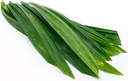 Fresh Thailand Pandan Leaf 100g/PKT | 新鲜 泰国 斑斓叶 100g/包