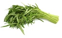 Fresh Thailand Ongchoi 200g/PKT | 新鲜 泰国 空心菜 200g/包