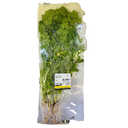 Fresh Thai Coriander 80g/PKT | 新鲜 泰国 袋装香菜 80g/包