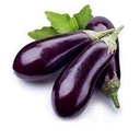 Fresh Eggplant Purple 5kg/CTN | 新鲜 茄子 整箱 5kg/CTN