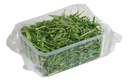 Fresh Rucola 125g | 新鲜 芝麻菜 125g
